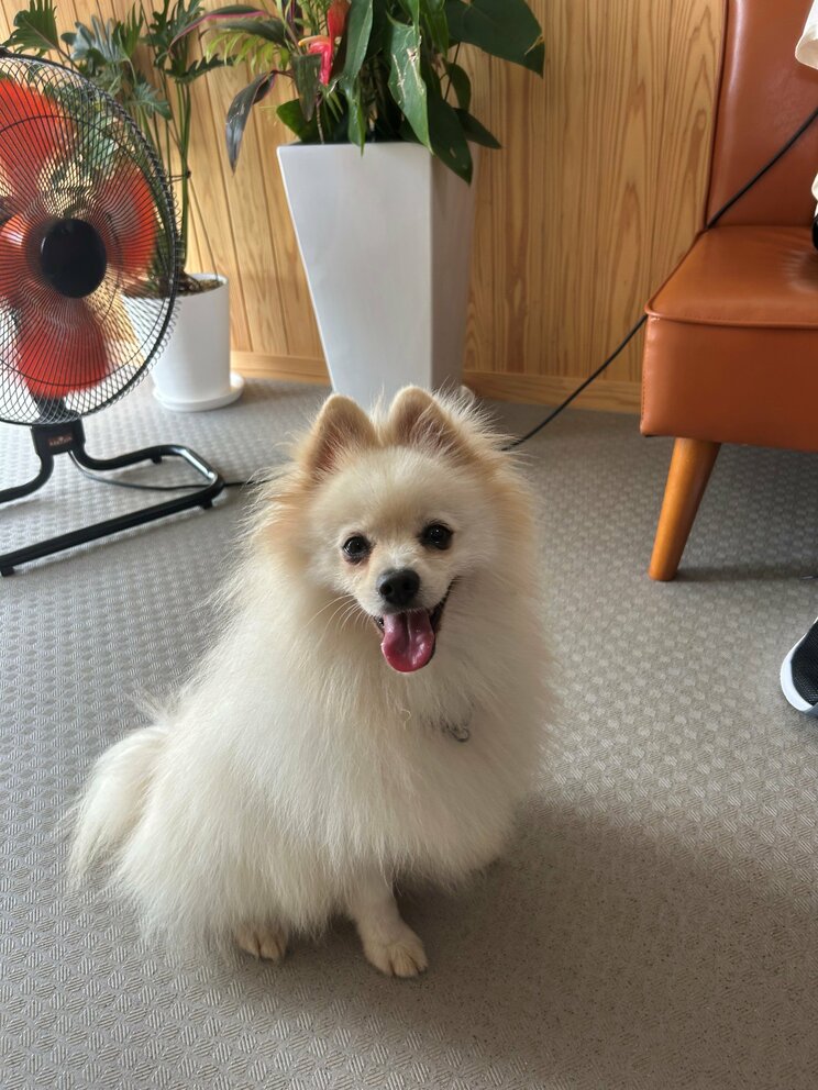 （写真／竹越さん提供）