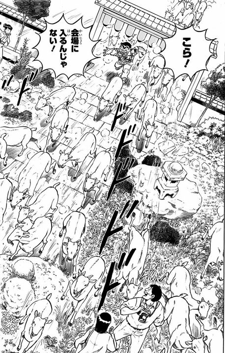 【こち亀】ブラック労働を強いられたヤギたちが反旗を翻したまさかの作戦 「その草を食べるな! 観賞用だから!」_14