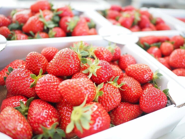 写真はイメージです（PhotoAC）