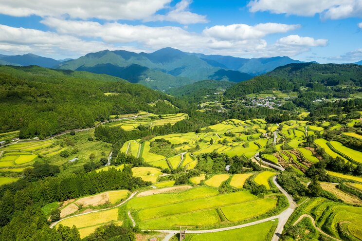 日本の農家の手取りは実質175万円「儲け過ぎ」批判のあるアメリカ、手厚い補助金のある西欧と比べて極端に厳しい実情_2