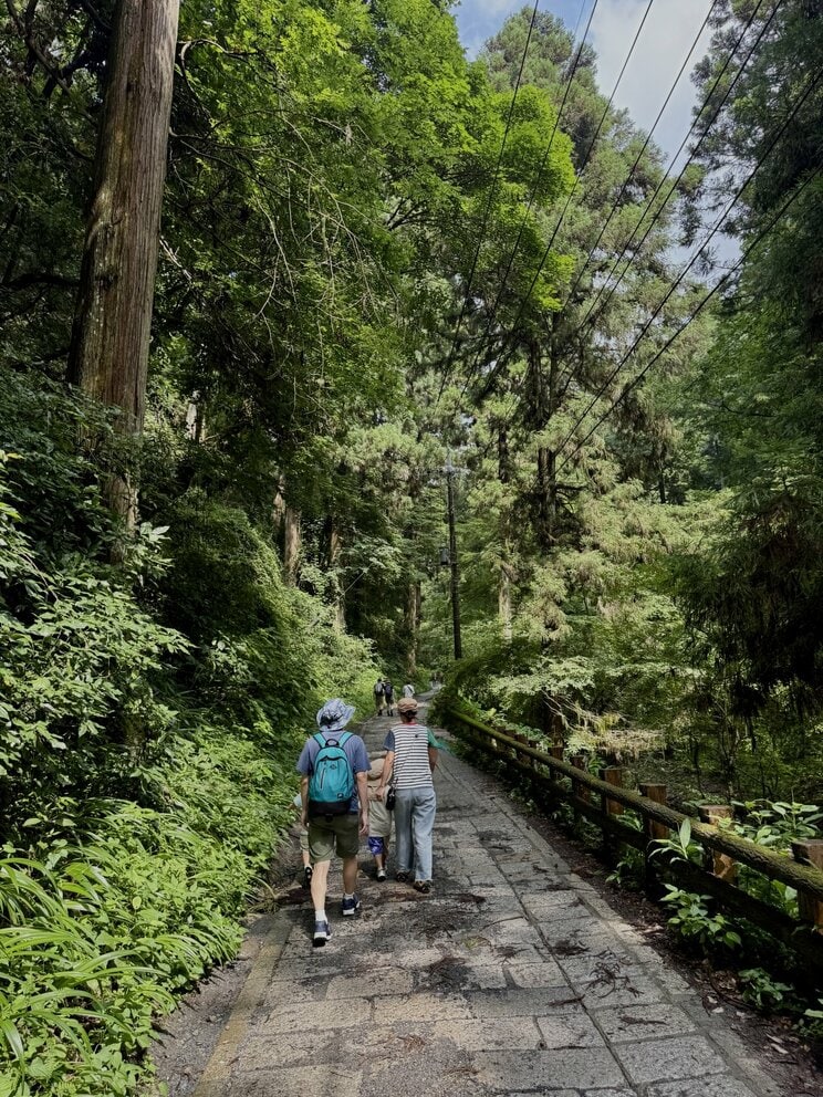 夏の高尾山一号路（写真AC）