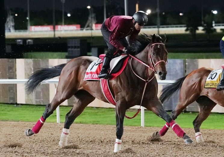 ドバイワールドカップに出走予定のフォーエバーヤング