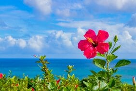 「アメリカが来たら手をあげなさいよ、そしたら助かるからね」と話した人が日本兵に殺された「一度米軍に捕まった者はスパイだ」と〈沖縄戦の住民虐殺〉