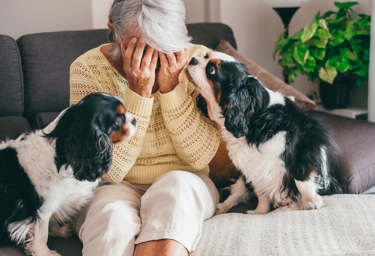 写真はイメージ。画像／shutterstock