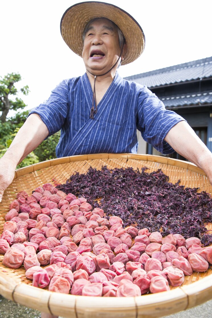 《おばあちゃんの漬物が絶滅危機》80代梅農家「今後、梅干しをどう作ればいいのかわからない…」法改正で相次ぐ高齢農家の嘆き…道の駅でも販売できない受難_4