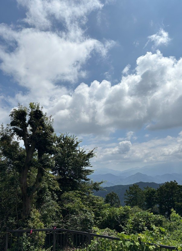 〈山の日〉東京なのに「北海道より涼しい」？ 真夏に高尾山へ行ってみたら…標高599mの避暑地の“実力”_29