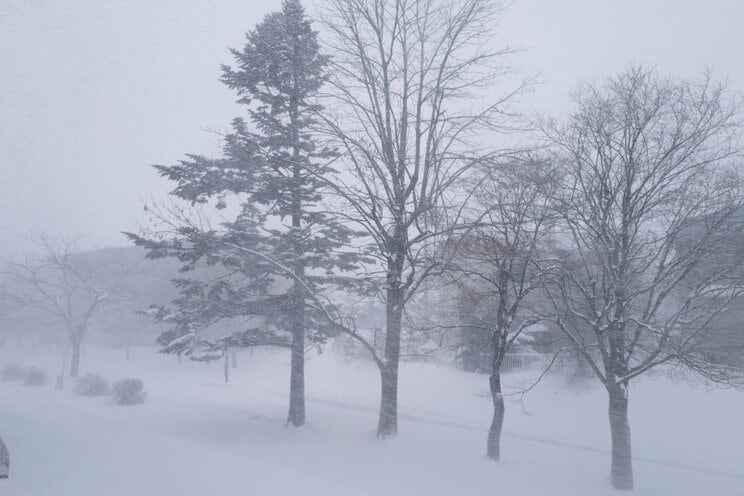 写真はイメージです（写真／PhotoAC）