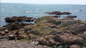 〈中高生3人死亡〉助けに入った友人も流された…「危ない場所には最初から行かない」現役ライフセーバーが警告する“海で絶対にやってはいけないこと”