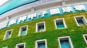甲子園は「初出場校が初戦で負けるのが最も儲かる」は本当か?