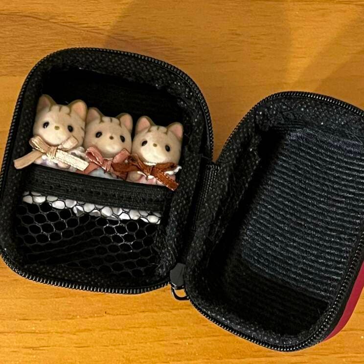 モモさんの持ち運びケース（写真／モモさん提供）
