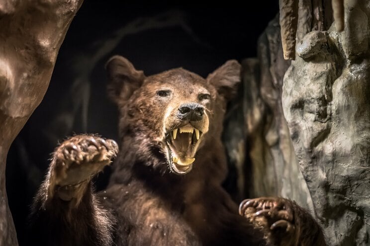 写真はイメージです