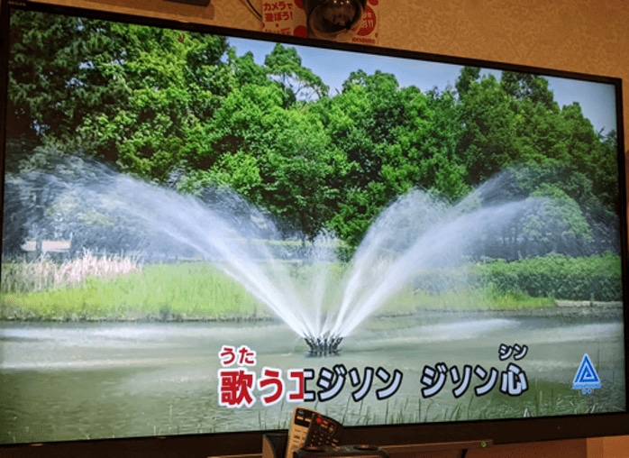 【海獣学者に訊いた】大阪湾の淀ちゃんだけじゃない。国内では年間300件も発生。浜や河川にクジラやイルカが迷い込む「ストランディング」の実態とは？_6