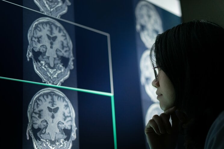 写真はイメージです