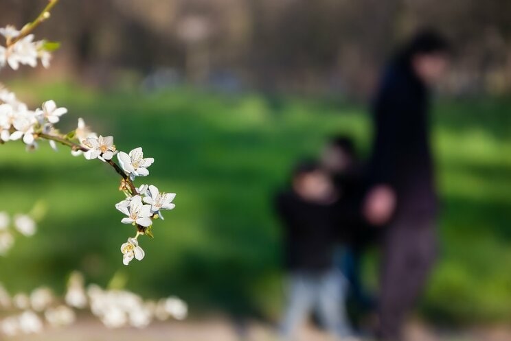 写真はイメージです　写真／Shutterstock