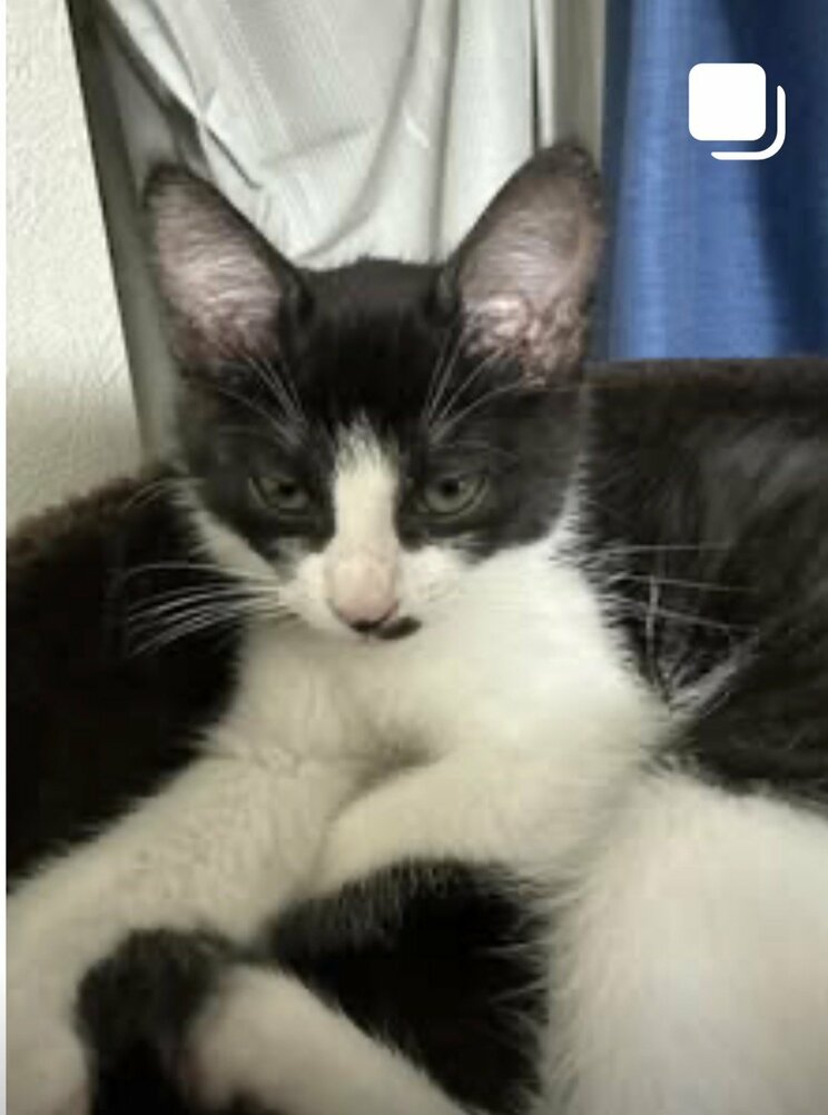 〈大田区・会社社長殺人〉玄関は施錠され密室…70人の従業員を抱える港区の社長の首、顔など10か所以上の刺し傷「爽やかなおじさん」非常階段で“不審者”目撃情報も_13