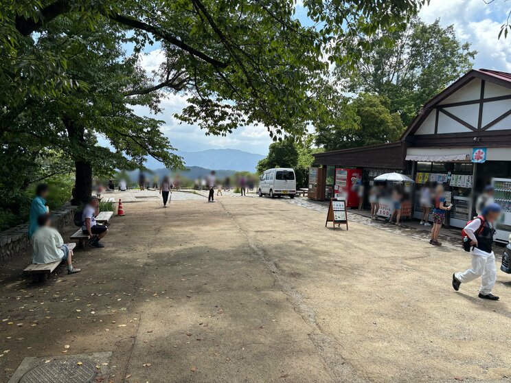 山頂付近の様子