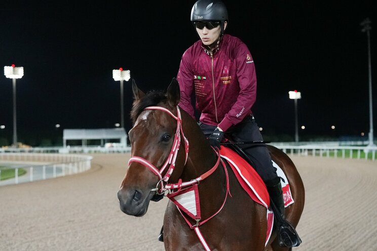 ドバイWCで勝利すれば、獲得賞金は世界歴代トップとなるフォーエバーヤング