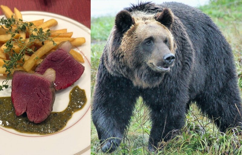 ツキノワグマ串が大バズり 「駆除して食べる」は対策になるのか？ 青森