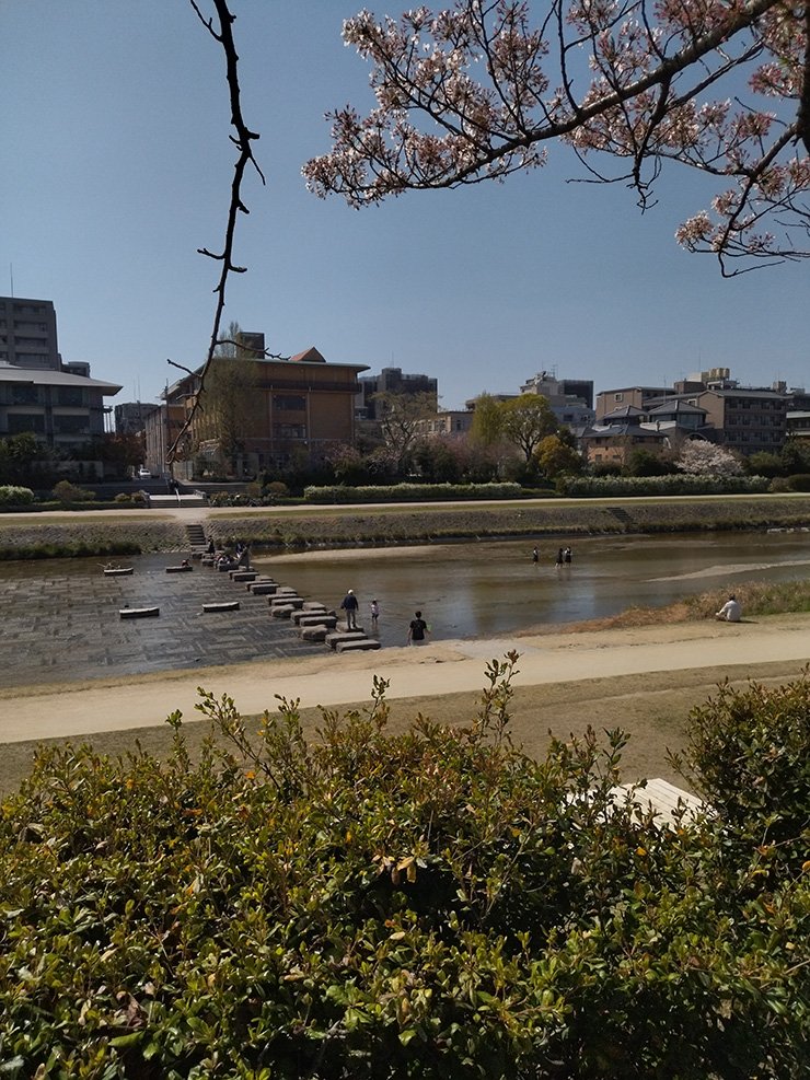 夜の哲学の道「京都にはかなりの数の観光客が押し寄せていて、近頃の清水寺や金閣寺はとりわけひどいようだけれど、この辺りはまだまともにふらつける場所だった」