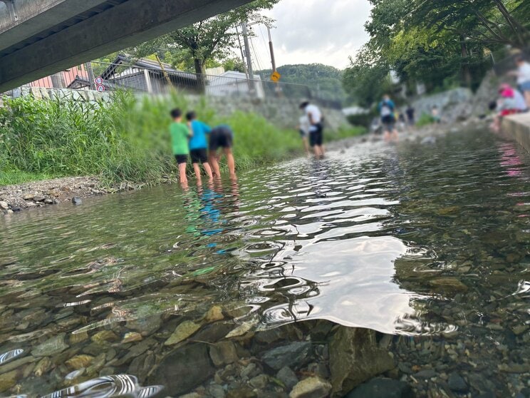 〈山の日〉東京なのに「北海道より涼しい」？ 真夏に高尾山へ行ってみたら…標高599mの避暑地の“実力”_17
