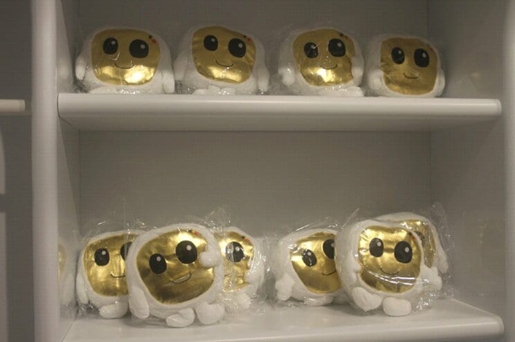 ベルギーの「ベルベル」、左右で目の大きさが違う