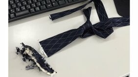 新卒を笑えないベテラン社会人の笑撃ミス「ネクタイがアレに挟まれ…」「“部長各位”が“武将各位”」…Xで話題の《#事務ミス選手権》投稿者本人に聞いた裏側
