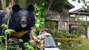 〈秋田・93歳男性死亡〉クマの襲撃かと思いきや殺人事件…何がどうなった？ 被害男性は元教師で植物研究者「広範囲に血痕、荒らされ方も酷い」トラブルは？ 