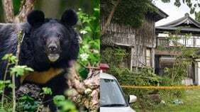 〈秋田・93歳男性死亡〉クマの襲撃かと思いきや殺人事件…何がどうなった? 被害男性は元教師で植物研究者「広範囲に血痕、荒らされ方も酷い」トラブルは?