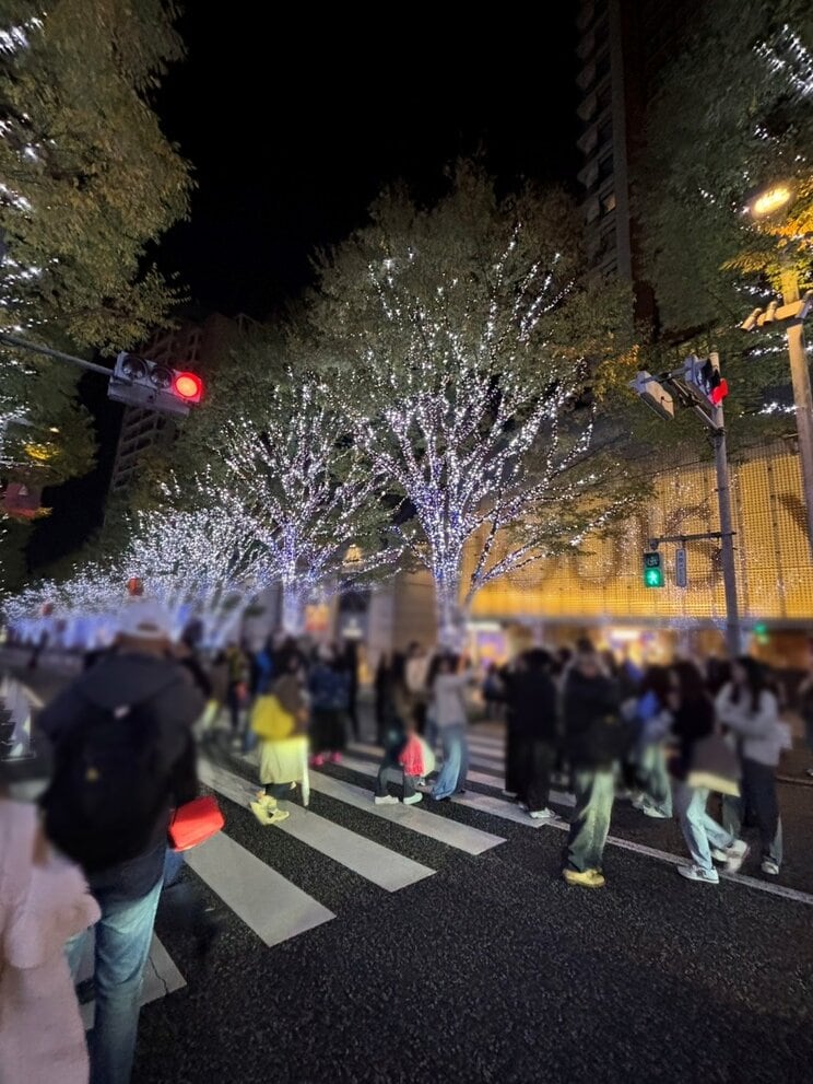 〈危険行為が続出〉「まじカオス」六本木・けやき坂イルミネーションで“映え写真”を求めて車道に飛び出る観光客…警備員の声かけに「ウルサイ」「日本語ワカンナイ」_11