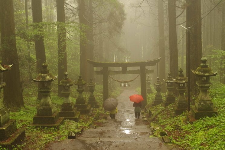 写真はイメージです