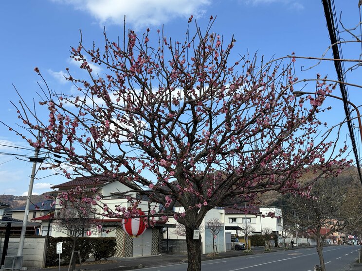 食べログ超高得点・ラーメン東京5位の名店が突然の閉店 「1杯1000円の壁」をブチ壊すために…店主が明かした本当の理由_20