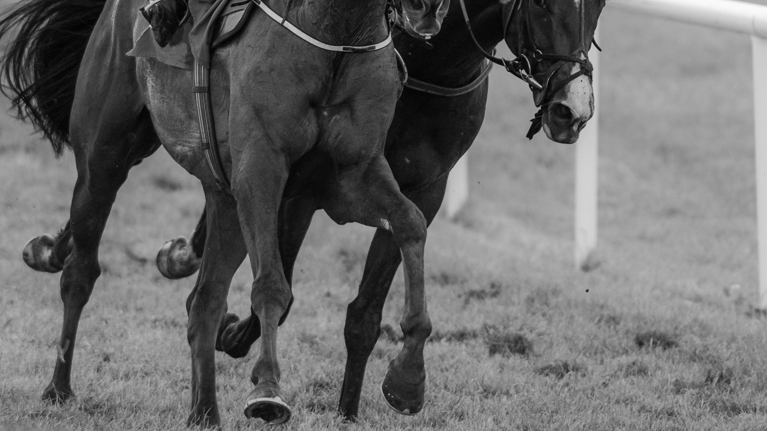 競馬・雑誌・ナリタブライアン・ビワハヤヒデ ナリタブライアンVSビワハヤヒデ」の兄弟対決がもしも実現していたら