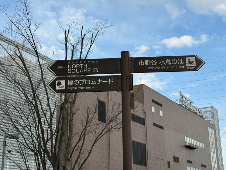 街は自然豊かで、野鳥が生息していても不思議ではない(撮影/集英社オンライン)