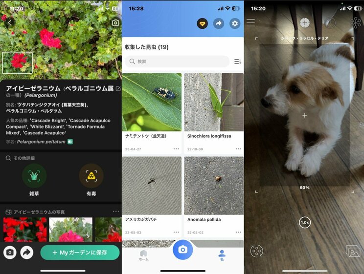 左から「PictureThis」、「Picture Insect」、「LINNÉ LENS」