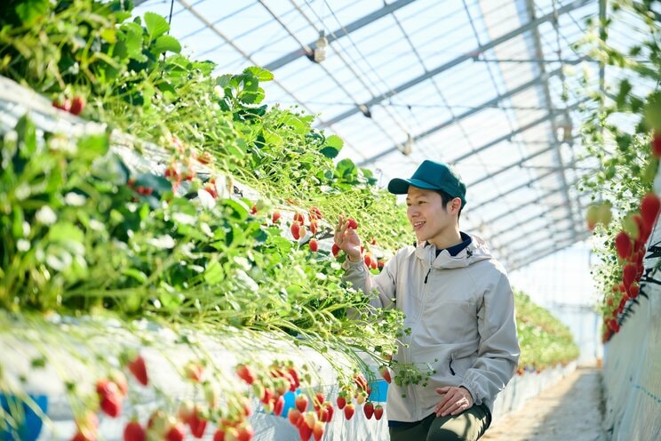 写真はイメージです（写真／Shutterstock）
