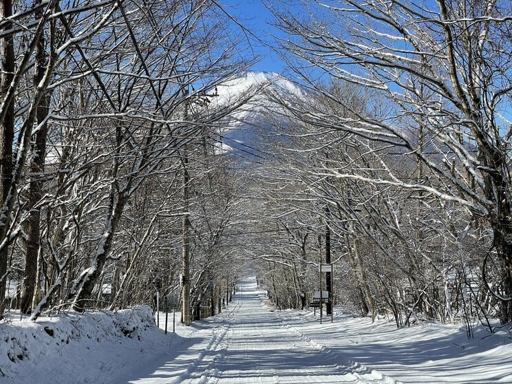 「別荘所有者の納税は年5500円!?」 ぶっちゃけ山中湖で別荘生活をするとどれくらいのお金がかかるのか？ デュアルライフのお財布事情_2