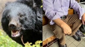 「頭から血がドバドバ出て…」「クマは真っ赤な眼をしていた」秋田・住宅街でクマが高齢者を続々と襲撃 80代男性「次襲われたら諦めるしかない」