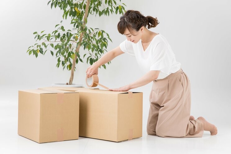 写真はイメージです　写真／Shutterstock