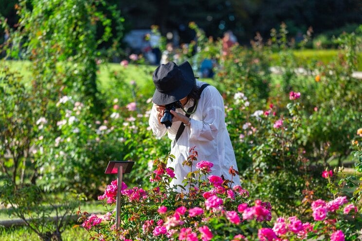 写真はイメージです（写真／PhotoAC）