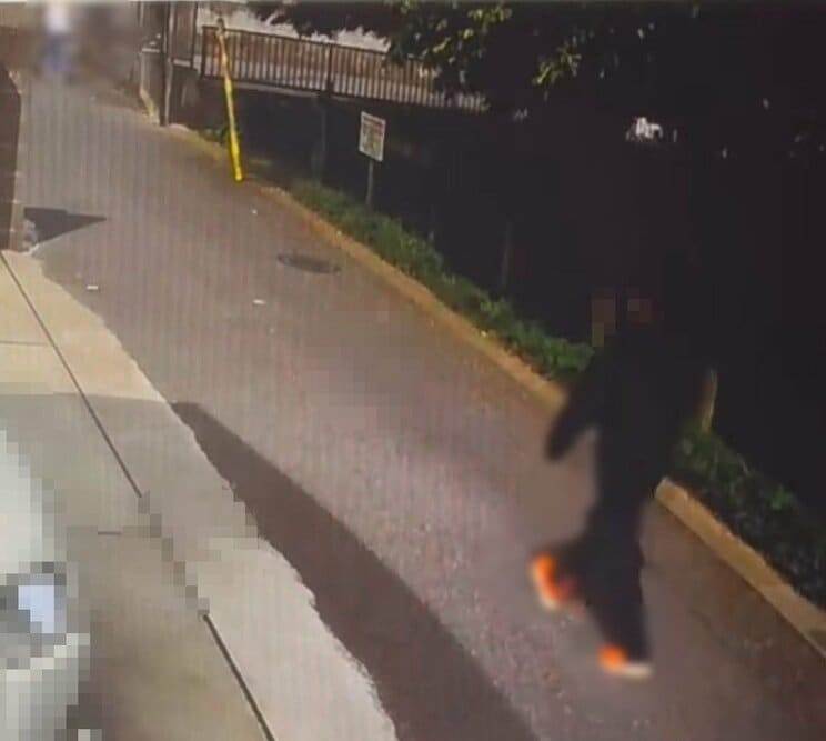 手押し車を押す高齢の女性の後ろを歩く少年