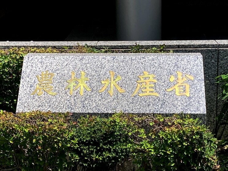 農林水産省