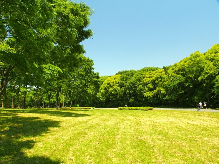 写真はイメージ　写真／Shutterstock