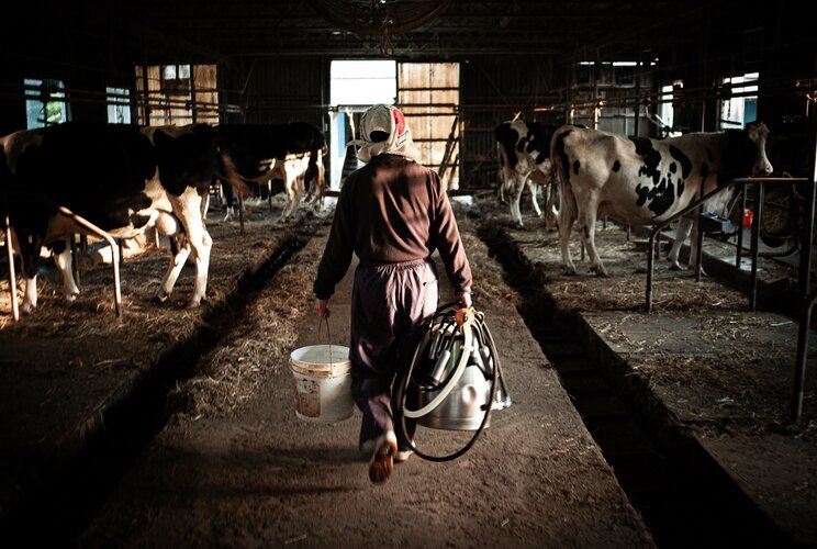 〈東日本大震災から13年〉「（牛のことは）もう話すな。俺も悲しくなっから」原発事故で牛を殺処分…時が止まったままの酪農家。妻は震災体験を伝える紙芝居を上演し、山田洋次監督も見学に_7