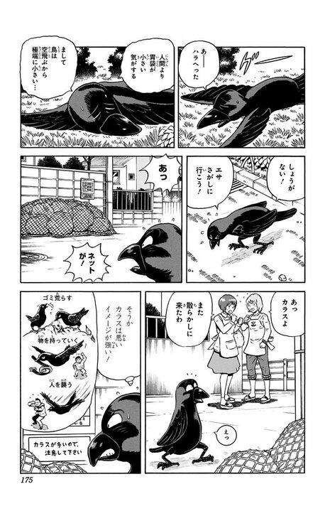 【こち亀】魔法使いの仕業で現役警官がカラスに...人間に嫌われまくったカラス刑事の処世術!_7