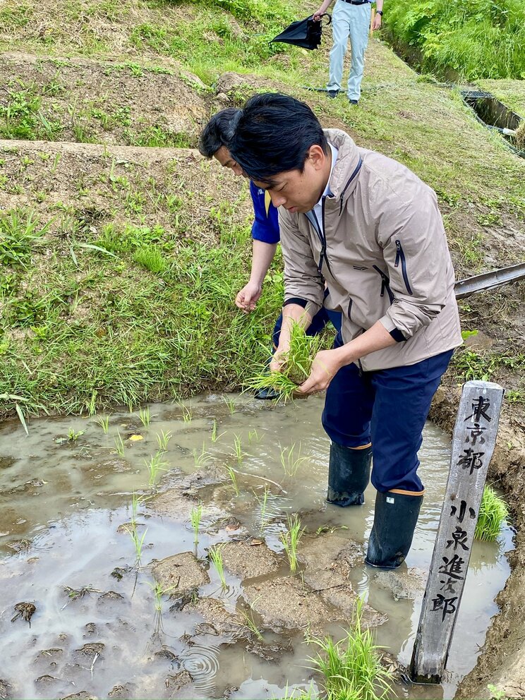 2024年の5月に能登半島の白米千枚田で田植えをする小泉大臣（本人Xより）