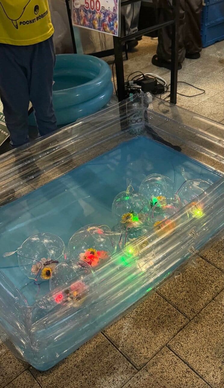 〈金魚すくいが激減？〉都内の祭りで見かけなくなった“縁日の定番”…残った金魚は店じまいの後どこへ行くのか「長生きする金魚はあまり見たことがない」_14