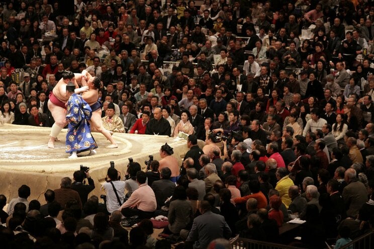 写真／Shutterstock