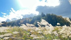 2011年4月福島で102歳の老人が自ら命を絶ったのはなぜか？　新聞を中心に朽ちていく日本のジャーナリズムと、孤立を深める人々