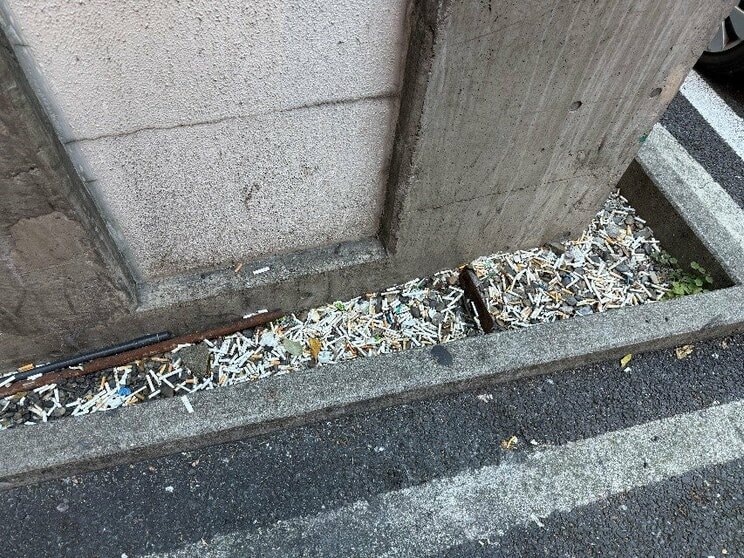 ちなみに、敷地内はタバコの吸い殻だらけの状態（撮影／集英社オンライン）