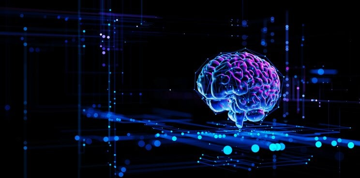 写真はイメージです　写真／Shutterstock